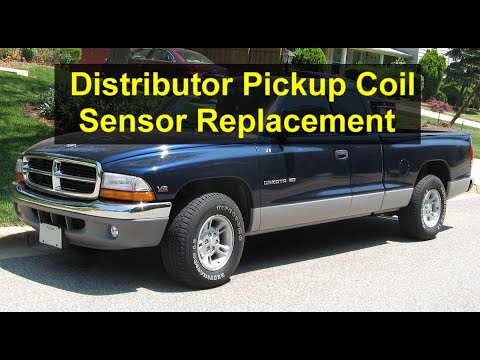 Distributor pickup coil sensor replacement, Dodge V6 cylinder engine, 3.9L, Dakota. - VOTD
