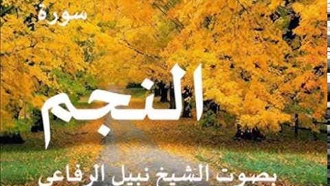 سورة النجم بصوت الشيخ / نبيل الرفاعي 53
