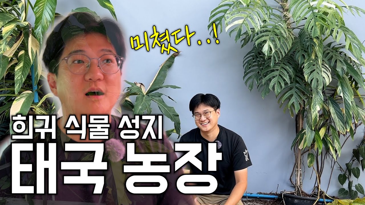 싸와디캅🙏 가든킹을 당황 시킨 태국 농장 스케일 ㅣ 태국 현지 농장 탐방 ㅣ나 오늘 집에 안갈래