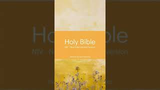 The Holy Bible - Genesis Chapter 11 (NIV)