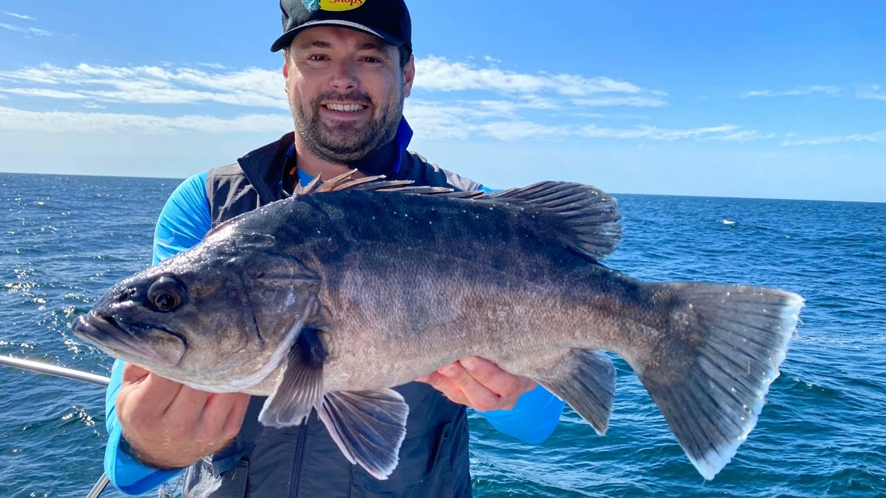 Slow Jigging for Wreck Grouper and Red Porgy