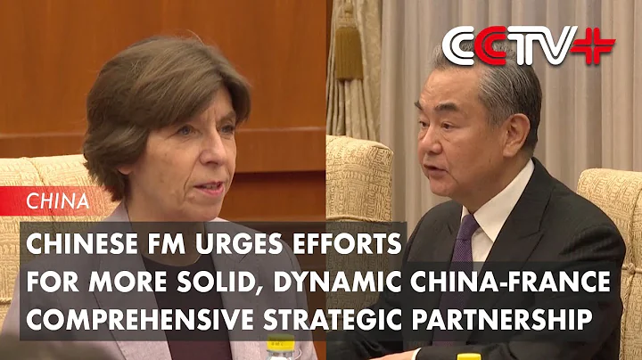 Chinese FM Urges Efforts for More Solid, Dynamic China-France Comprehensive Strategic Partnership - DayDayNews