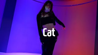 Colde (콜드) - 묘 (Cat) | YOUN choreography