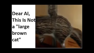 There Are Interesting? Internet Ai Demos