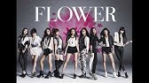 Flower Forget Me Not Wasurenagusa 16 Youtube
