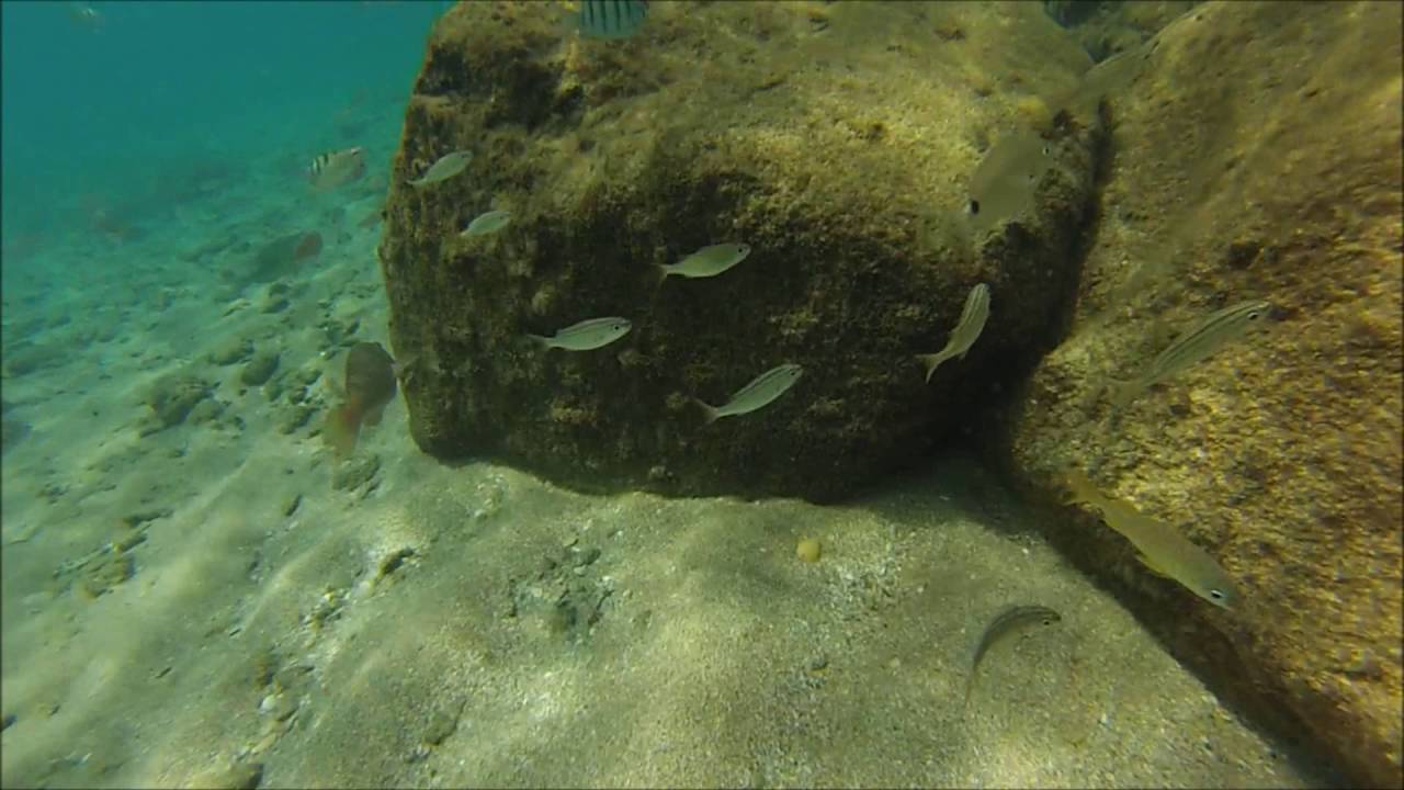 Peanut Island YouTube