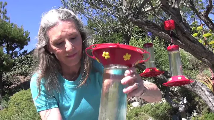 Creating Wildlife Habitat in Your Yard