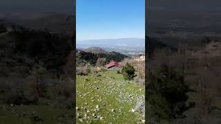 Çallı Köyü Burhaniye Balıkesir