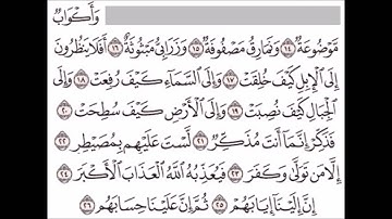 سورة الغاشية 14 - 26 بصوت الشيخ ناصر القطامي