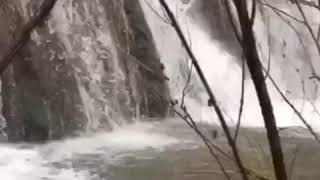 Download Lagu You like my hair? Gee thanks just bought It MP3