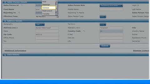 Maintain Sales Hierarchy with RAMCO ERP