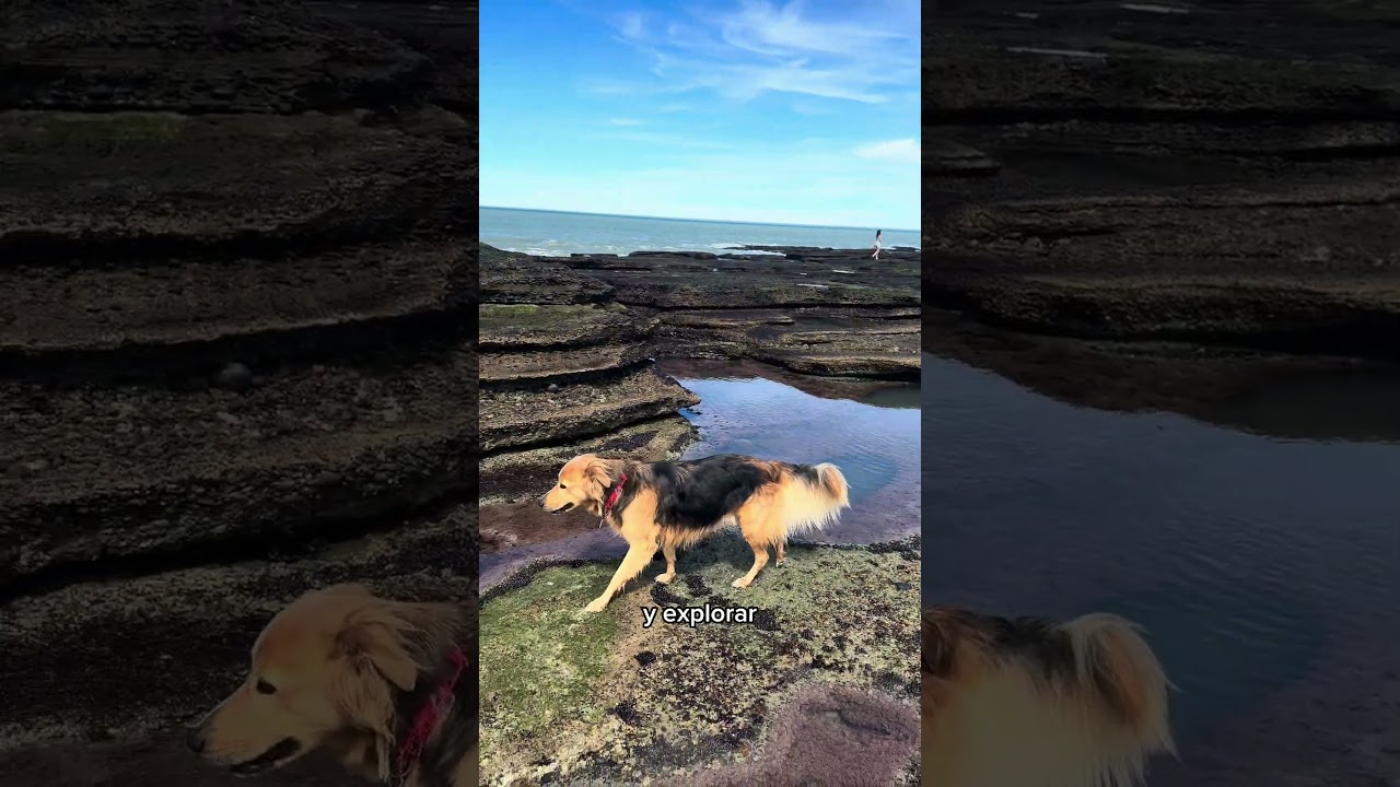PLAYA SOLITARIA EN CHUBUT