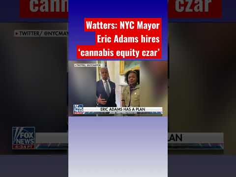Jesse Watters: Cannabis needs to be equitable for Mayor Eric Adams #shorts thumbnail