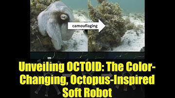 Unveiling OCTOID: The Color-Changing, Octopus-Inspired Soft Robot
