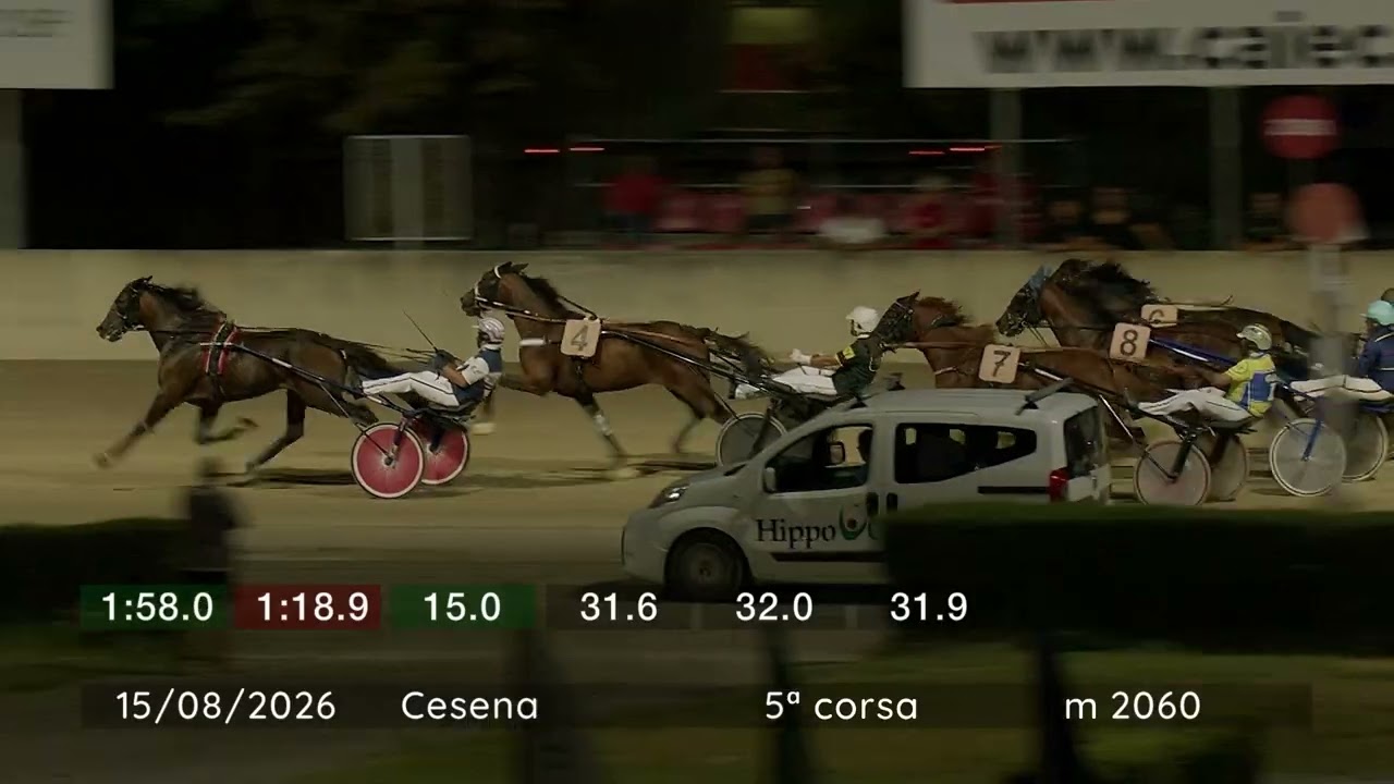 2026 08 15 | Corsa 5 | Metri 2060 | Premio Bongo Dei Daltri