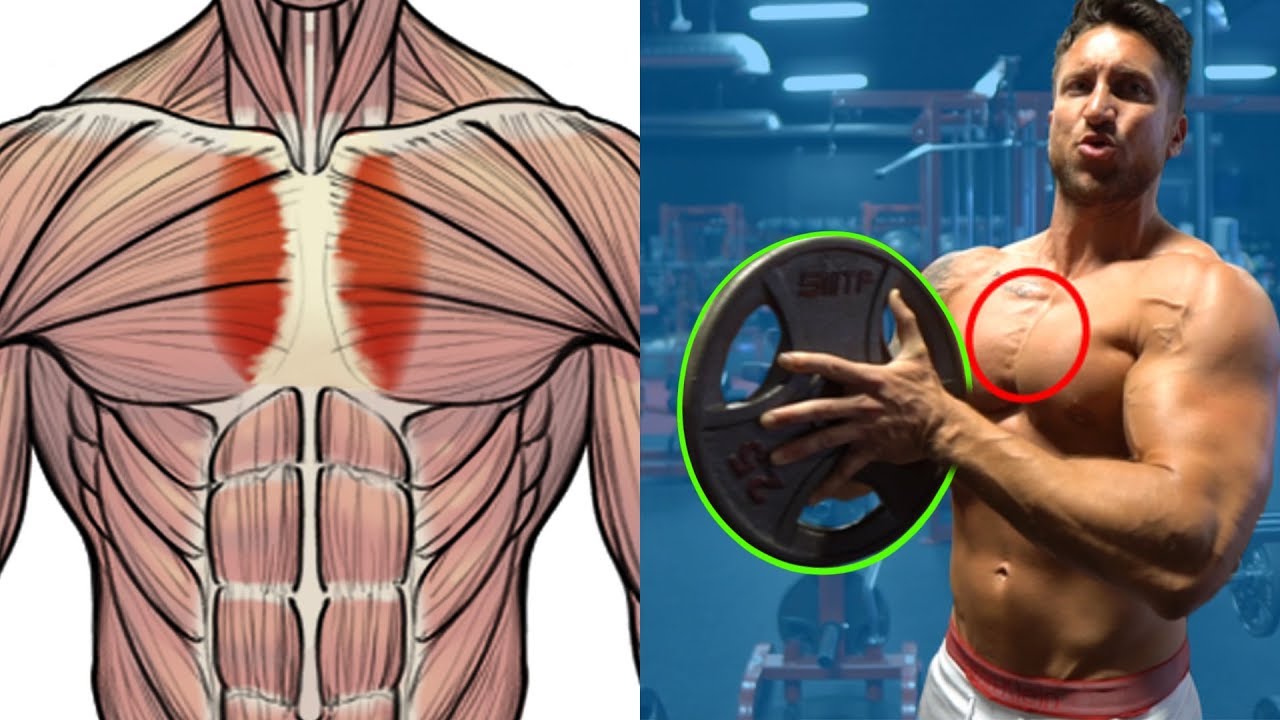 90 Best What is the best exercise for inner chest for Workout at Gym