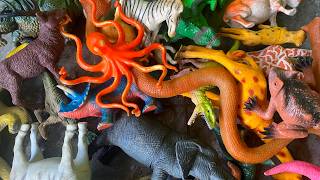 ASMR Animal & Dinosaur Toys | Satisfying Tapping and Dropping | No Talking