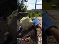 Фада Антижир💧
