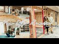 MAJOR OFFICE RENOVATION: THE BEGINNING | DEMO, FRAMING, PLANNING THE SPACE | Bloom Creative Co.