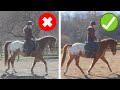 How To Get Your Horse On The Bit (STEP-BY-STEP GUIDE)