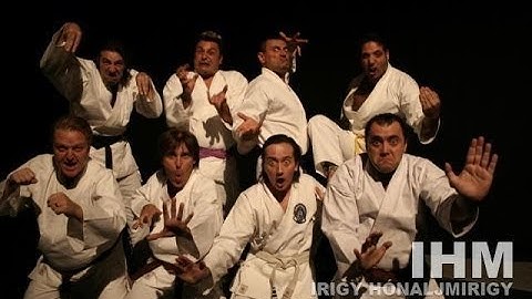 Irigy Hónaljmirigy - Karate tigris 8 (2006)