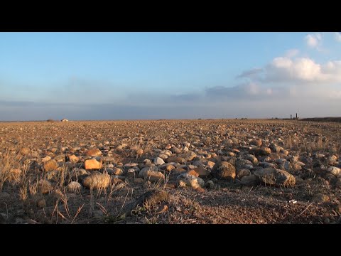 Crau : des trésors entre les cailloux