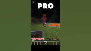 Noob vs Pro Vs Hacker Killing Zombie #minecraft #shorts