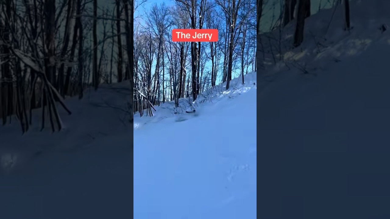 Monkey moment numba 17. 