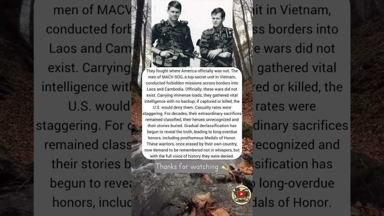 They fought where America officially was not. The men…. 