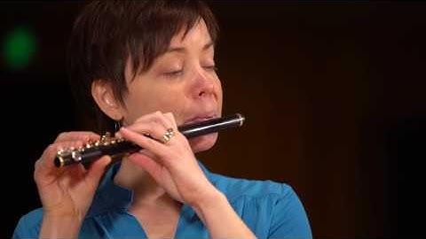 What does a piccolo sound like? (Ode to Joy)