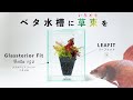 【アクアリウム新商品】ベタ飼育専用水槽と着脱可能な水草ポット『グラステリアフィット ベタ 150』『リーフィット』を紹介!