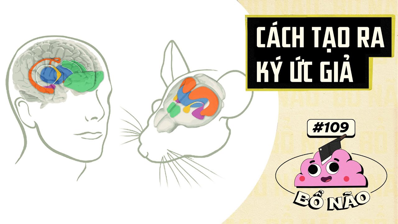 Tương Lai Của Thao Túng Tâm Lý | BỔ NÃO #109