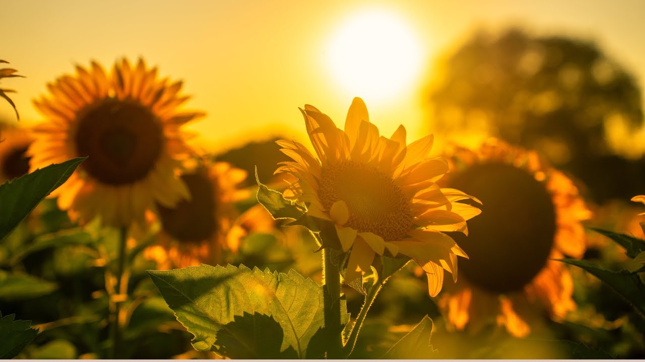 Scholarship News + Farm Update