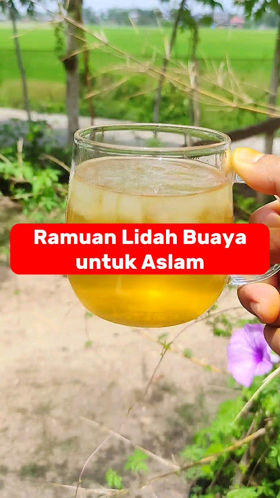 I never thought aloe vera would be so good for our digestion, guys. #zaidulakbar #jsrrecipes #alo...