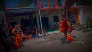 Story wa 30 detik ||| reog ponorogo