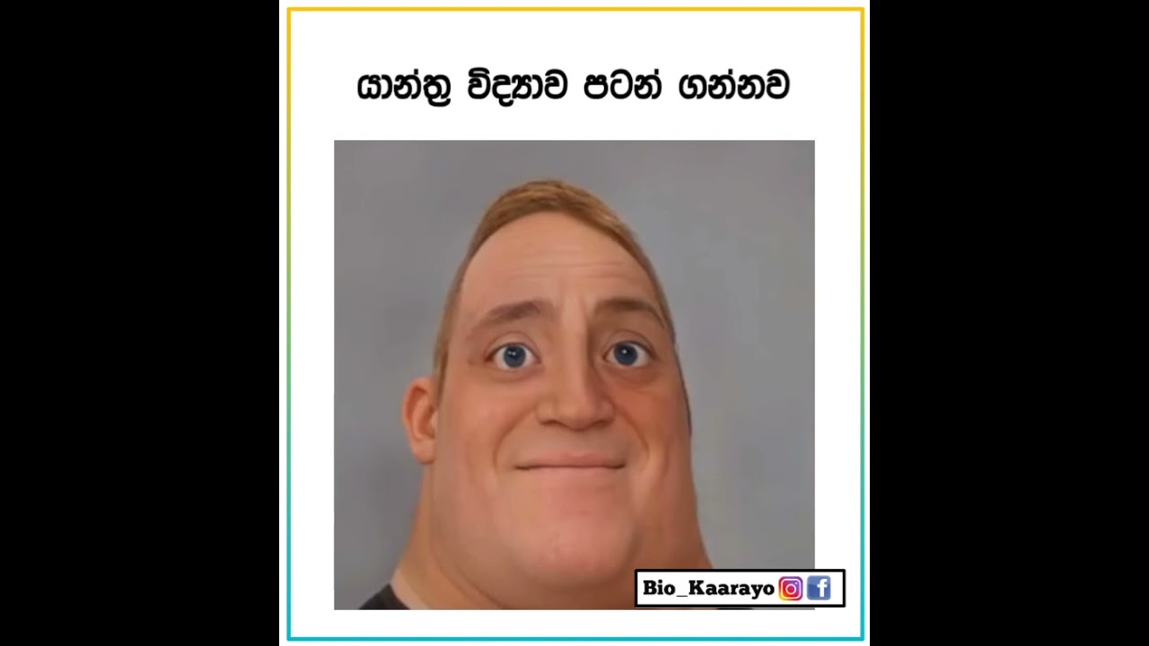 A/L Island Ranks Story 