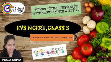 Ch.3- From Tasting to Digesting | Class 5 - EVS - NCERT | By Pooja Ma