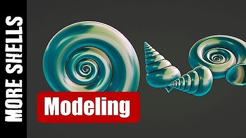 BLENDER: MORE SHELLS (MODELING)