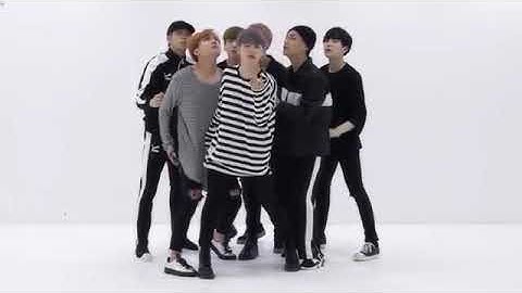 BTS- "Blood Sweat & Tears" Mirrored Dance Practice