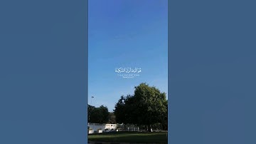 هو الذي أنـزل السكينة في قلوب المؤمنين | سورة الفتح - الآية 4 | القارئ عبدالرحمن مسعد | #قرآن #quran