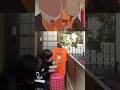 【ミスター味っ子】超極厚カツ丼。