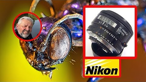 Nikon 1 V1 Mirrorless Camera Macro Photography with Bellows and Nikkor AF 50mm f1.4 Lens Class 247