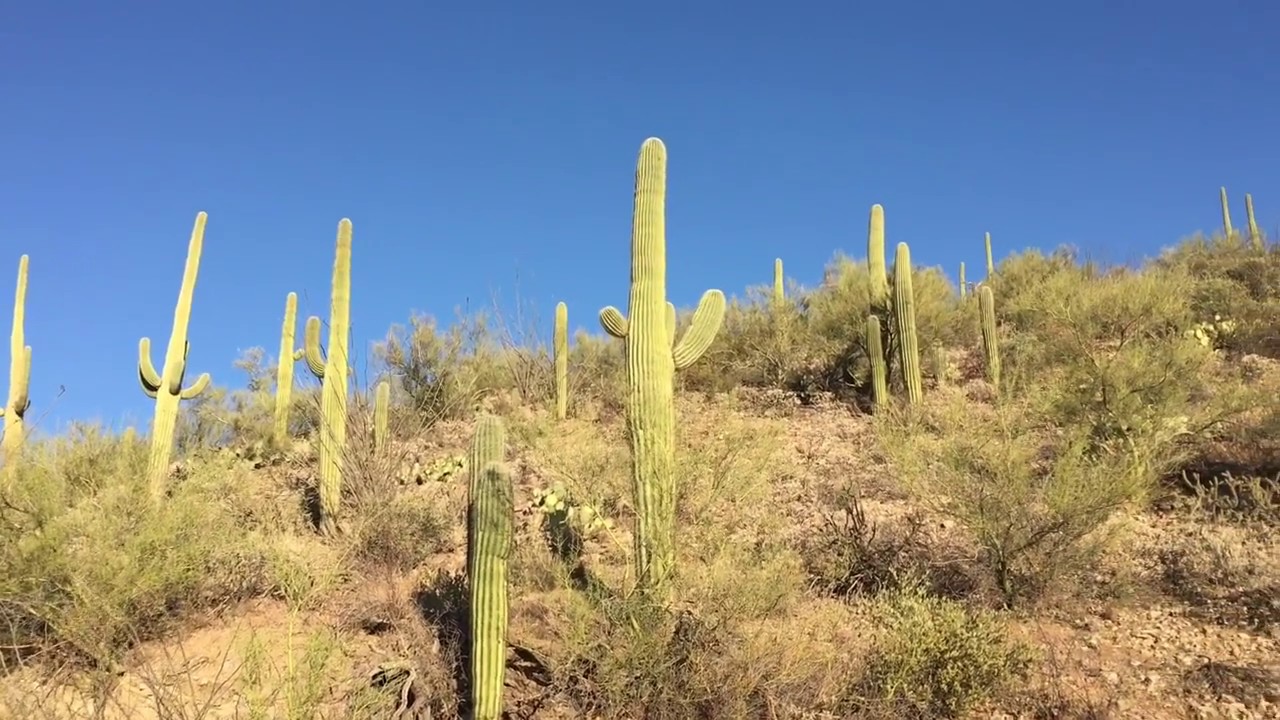 Tucson, AZ Day 2