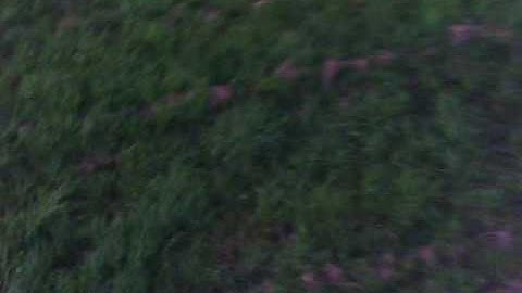 Hobbyzone Champ First Flight w/ Camera