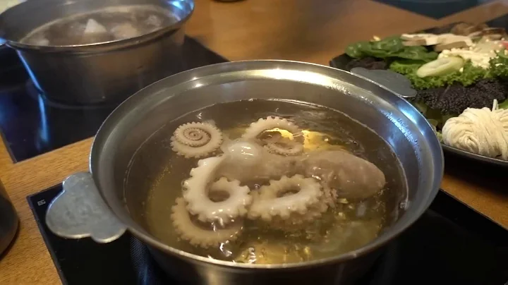 Boiling Live Baby Octopus - DayDayNews