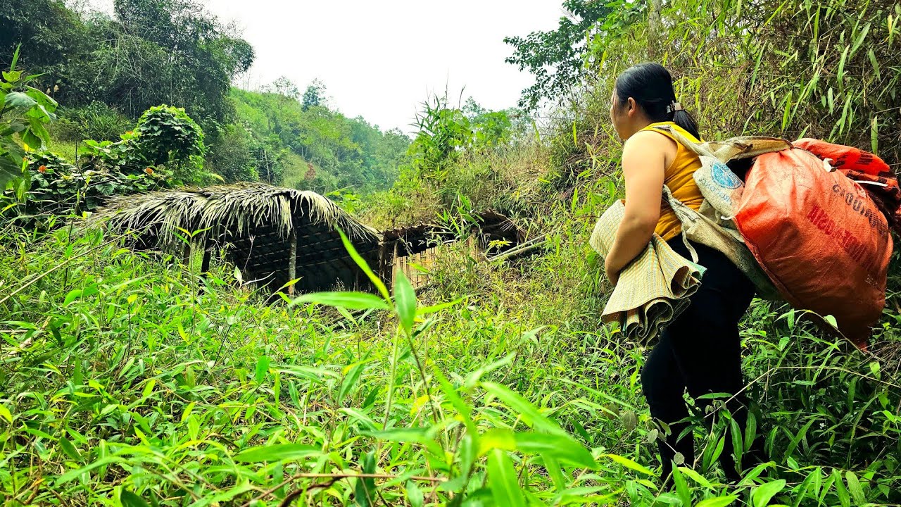 Full video; homeless girl 15 days restores abandoned house in the woods - A amazing transformation
