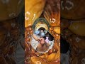 Mario Mario #asmr #shorts #shortvideo