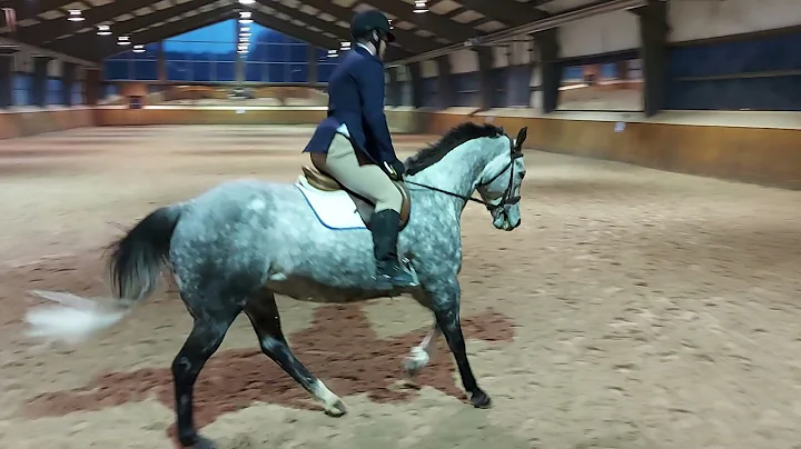 Carl Callahan and Sparka Winning Shake - Class 16 ...