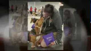 ABC Basset Hound Rescue's 2014 Spring Basset Blast by lovebassetcrap 1,290 views 10 years ago 2 minutes, 2 seconds