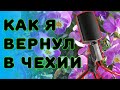 Так товар я еще не возвращал Микрофон YENKEE YMC1020GY